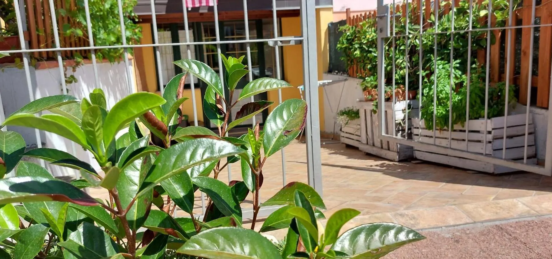 Casa Vacanze Laura Tortolì Włochy